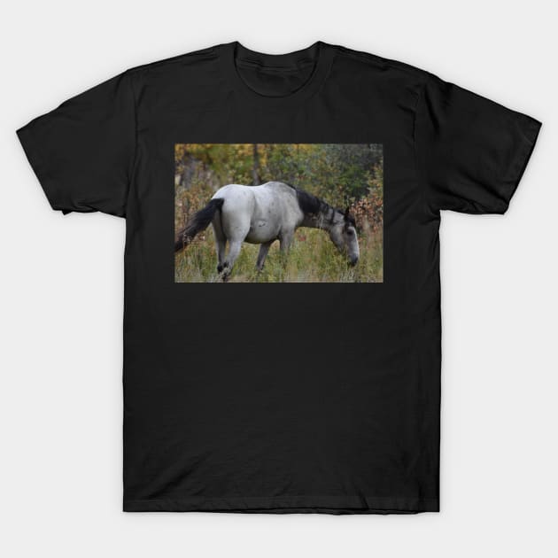 Grey Wild Horse T-Shirt by MarieDarcy